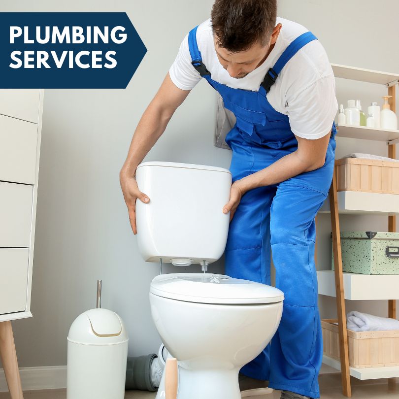 Plumbing Company in Williford, AR